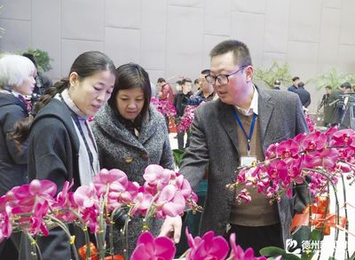 乐陵市举办第二届中国北方地区(乐陵)苗木花卉展销会，推动花卉苗木产业高质量发展